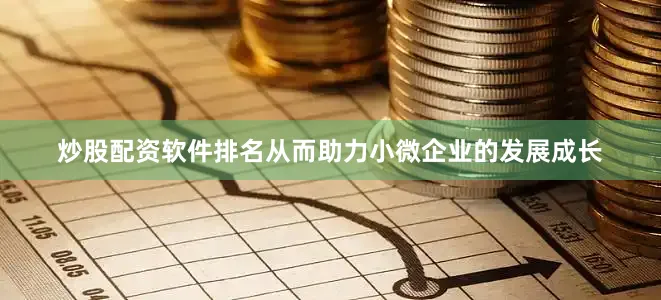 炒股配资软件排名从而助力小微企业的发展成长